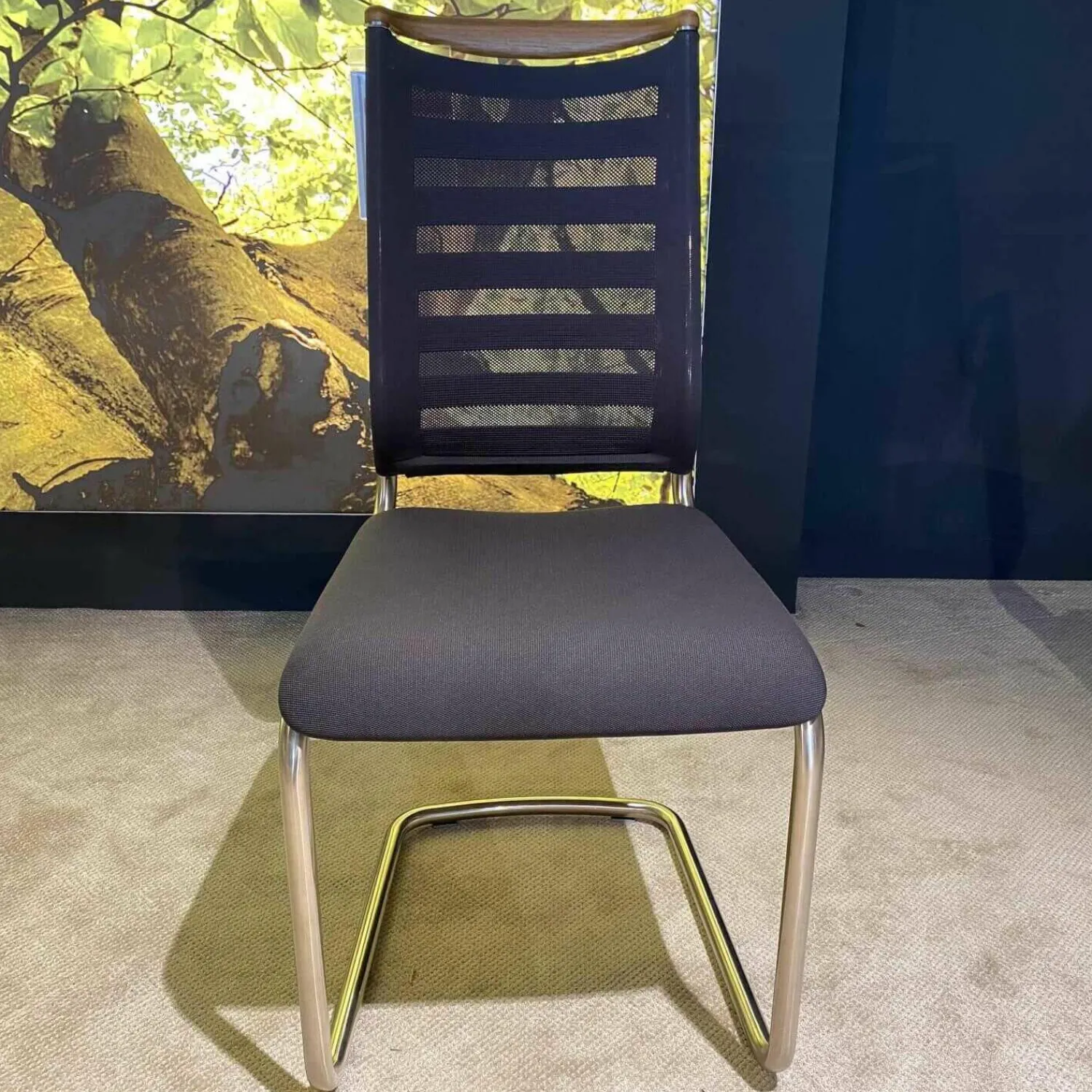 Venjakob Essgruppen|Tischgruppe Esstisch Multiflex Eiche Anziano Stuhl Lilli Tritex Basalt