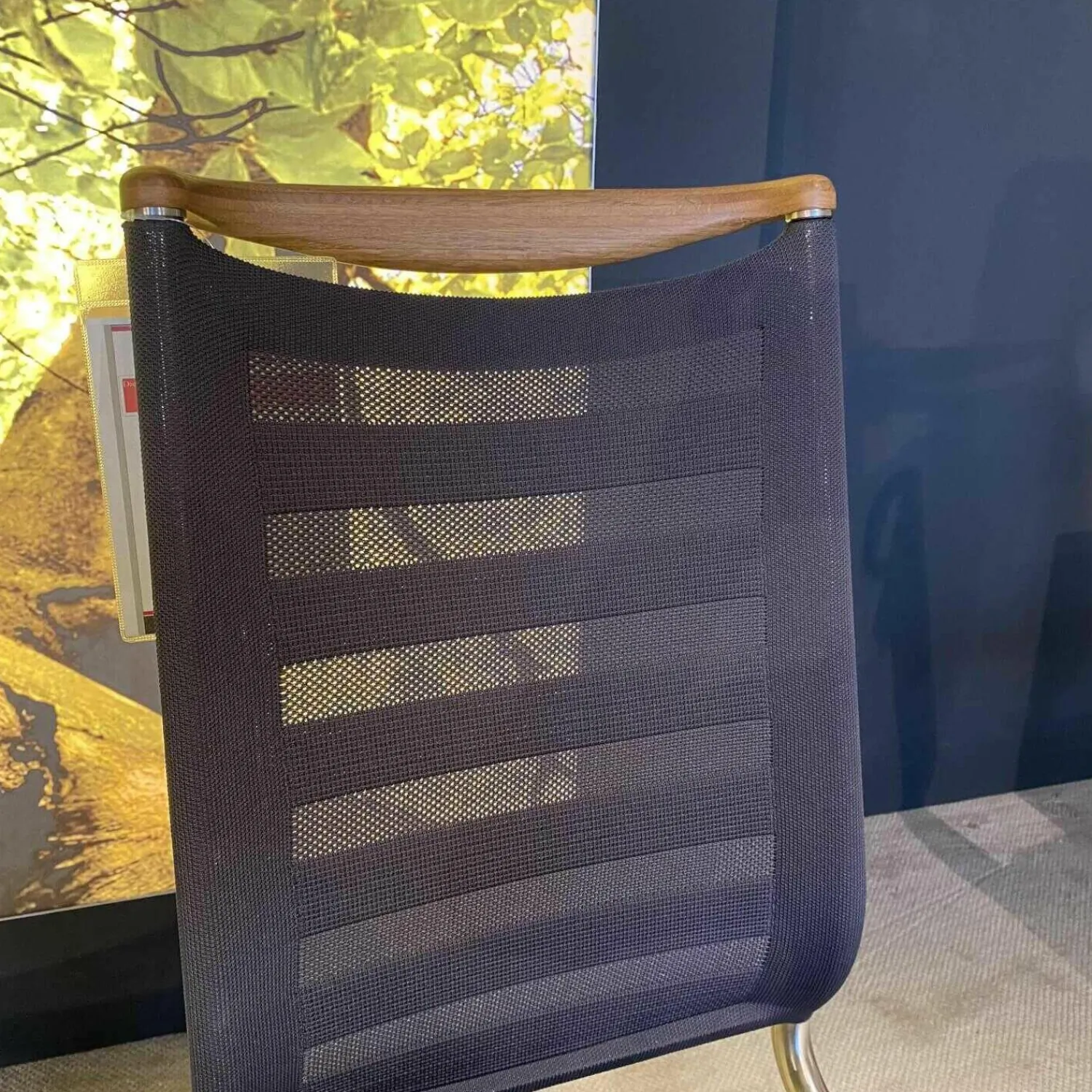 Venjakob Essgruppen|Tischgruppe Esstisch Multiflex Eiche Anziano Stuhl Lilli Tritex Basalt