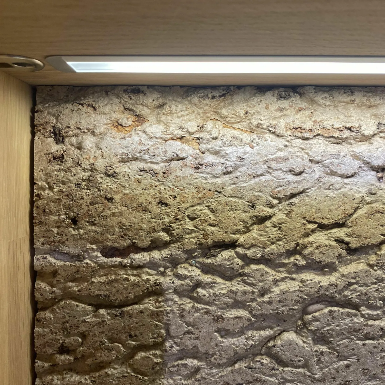 Natura Vitrinen & Highboards|Vitrine Cartago Soft Wildeiche Bianco Glastür Links mit LED-Beleuchtung