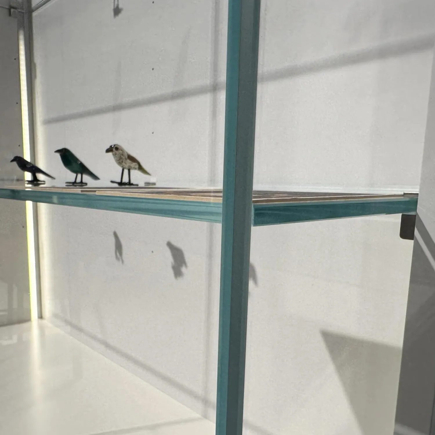 Kettnaker Vitrinen & Highboards|Vitrine Soma Innen Lack Weiß Türen Glas Klar Außen Glas Weiß Glänzend