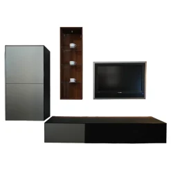 Team 7 Wohnwände & Tv-Lowboards|Wohnwand Cubus Pure 8 In Nussbaum Naturgeölt Fronten In Glas Stahl