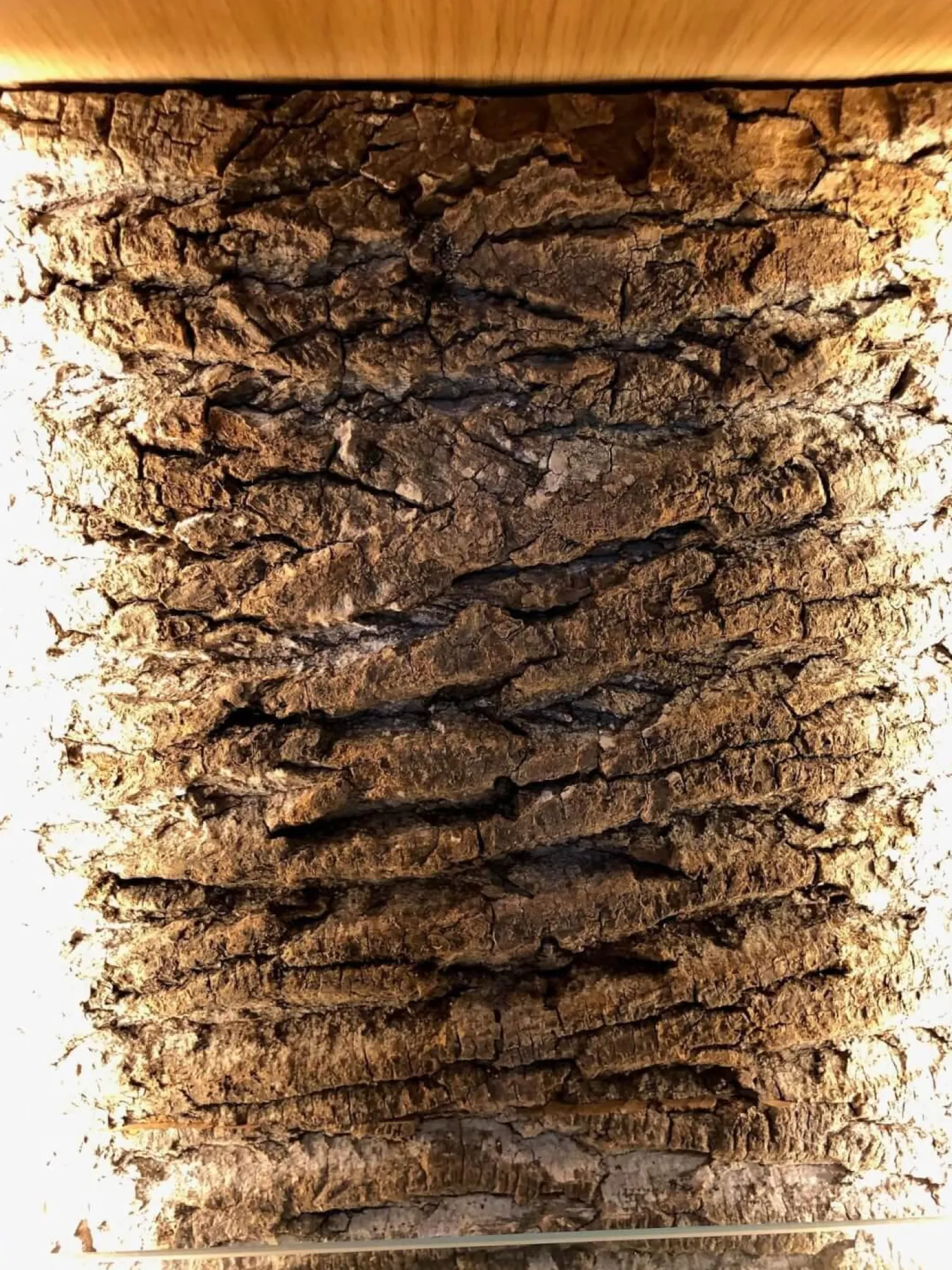 Schröder Franz Wohnwände & Tv-Lowboards|Wohnwand Kitzalm Solid Plus K050 Kernasteiche Natur Furniert Gebürstet Akzentglas Schiefer Grau Inklusive Beleuchtung