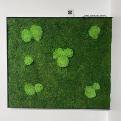 Gwinner Wohnwände & Tv-Lowboards|Wohnwand Linera Seidenmatt Weiß Wildeiche Natur Moos