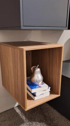 Paul Lindberg Wohnwände & Tv-Lowboards|Wohnwand pl.Cera Lack Anthrazit Nussbaum Natur Furniert